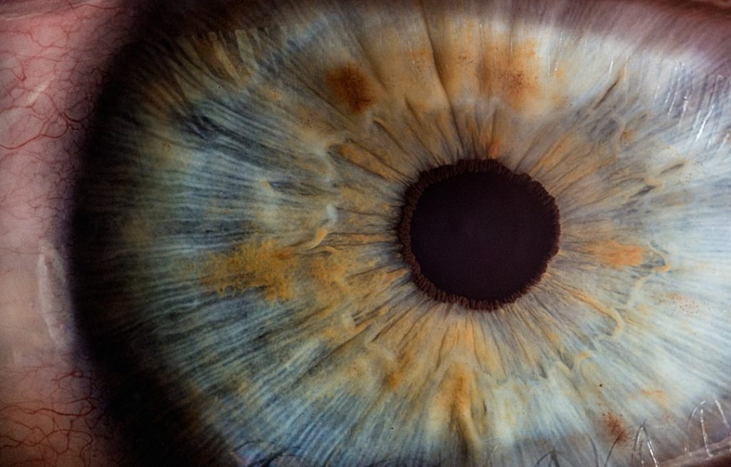 Photo Eye-catching visuals