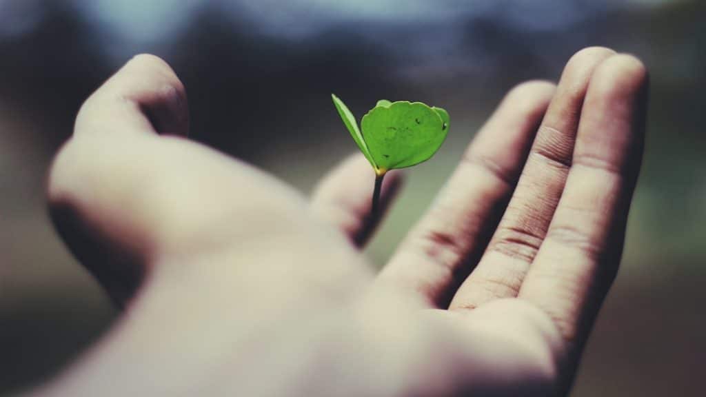Photo Business growth