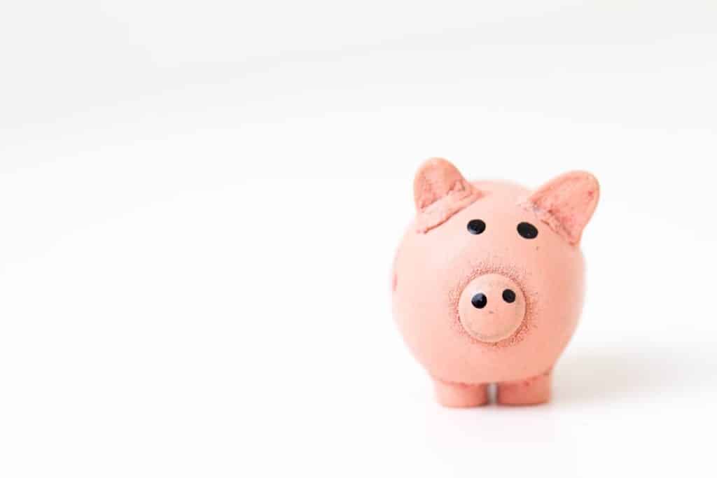 Photo Website, Investment