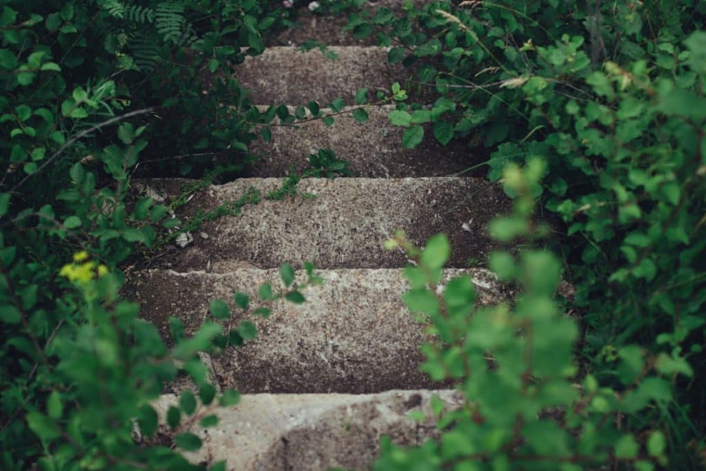 Photo Step-by-step guide