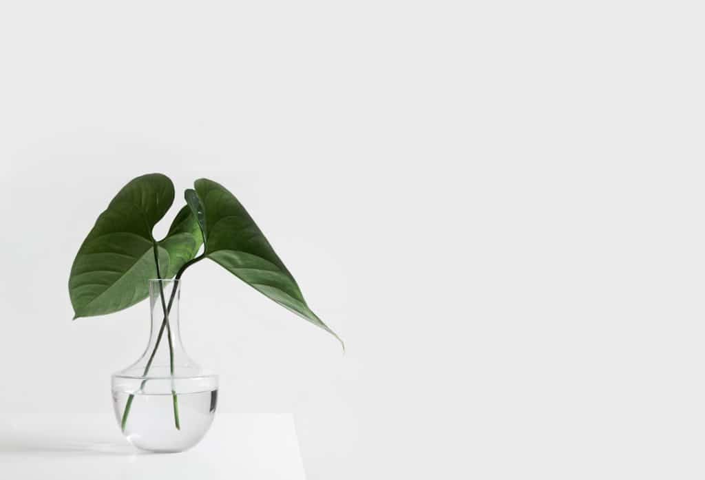 Photo Accessibility standards: WCAG guidelines Compliance: Checklist Online: Website Insurance: Policy Audit: Evaluation Testing: User testing Accessibility: Inclusion Barriers: Obstacles Disabilities: Impairments Technology: Assistive technology